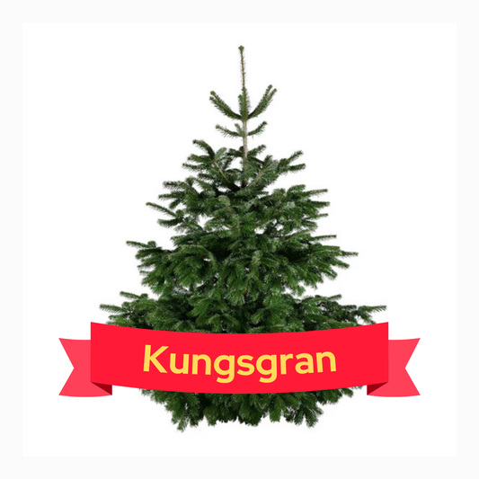 Kungsgran