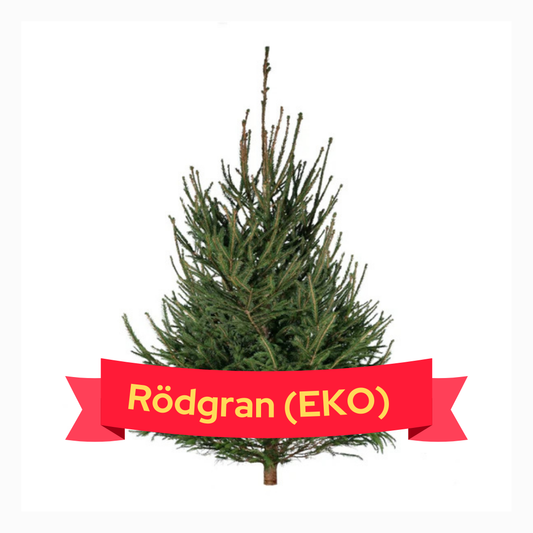 Rödgran (EKO)